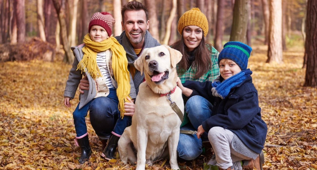 Liquid Zeolite for dogs and cats Coseva TRS