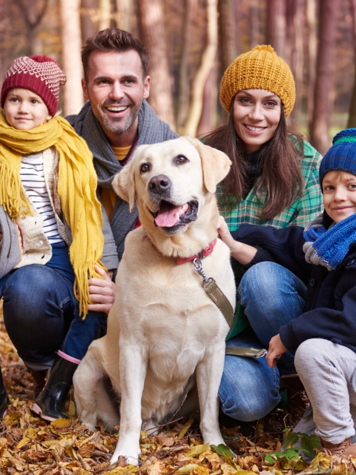 Detox heavy metals with Coseva